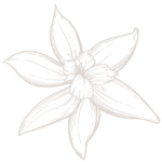 fleur de vanille