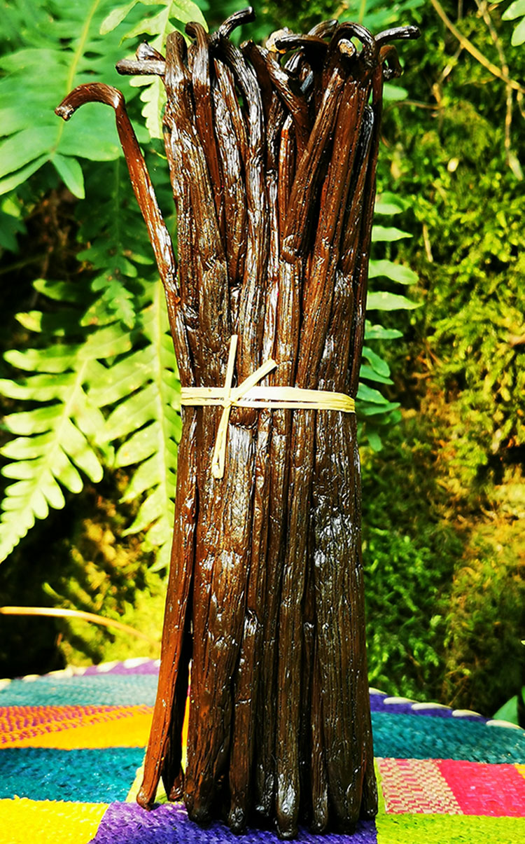 Gousses de vanille de Madagascar