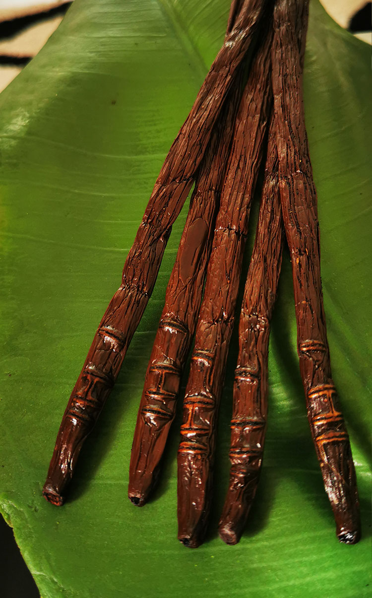 Gousses de vanille de Madagascar
