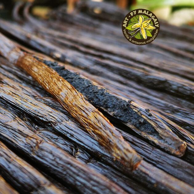 Gousses de vanille de Madagascar